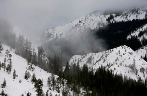 CP2079149838