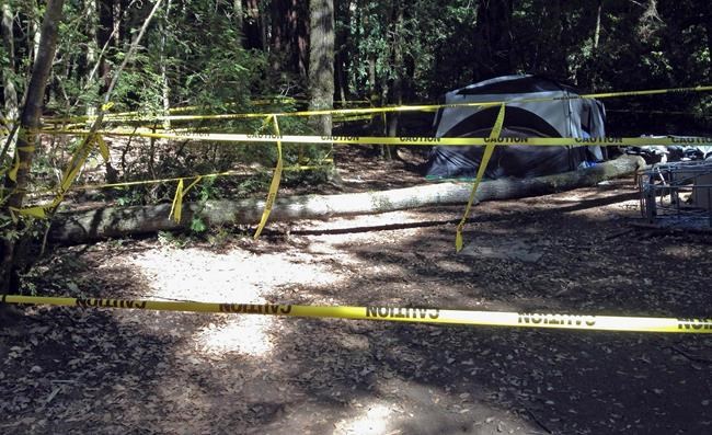 Boy who lost leg during camping trip gets $47.5 M settlement | iNFOnews.ca CP197053097