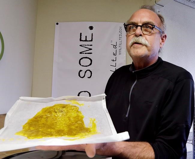 Arizona court: Hashish not included in medical marijuana law | iNFOnews.ca Arizona court: Hashish not included in medical marijuana law | iNFOnews.ca