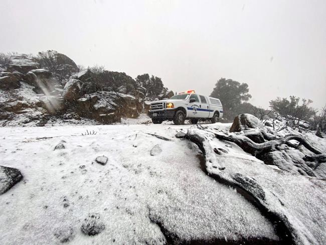 Thanksgiving brings brief respite from worst of snow, winds | iNFOnews.ca