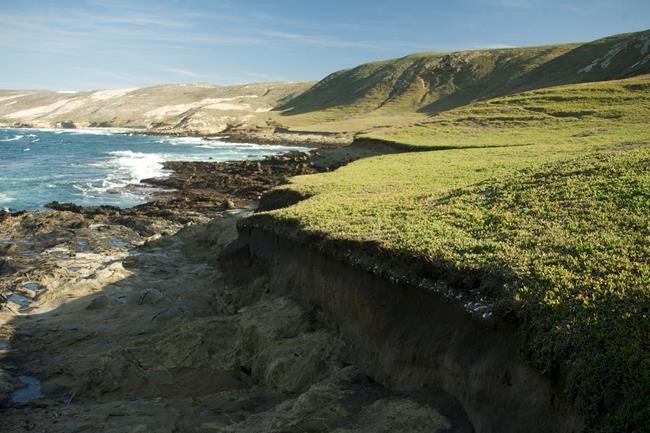 Ancient Native American remains reburied on California isle | iNFOnews.ca Ancient Native American remains reburied on California isle | iNFOnews.ca