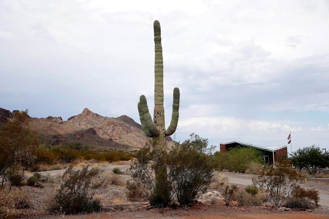 Autopsy: Boy Scout died on hike of dehydration, overheating | iNFOnews.ca Autopsy: Boy Scout died on hike of dehydration, overheating | iNFOnews.ca