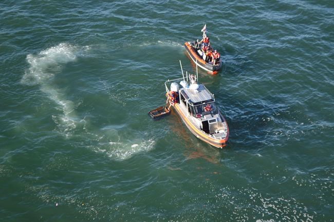 5-year-old boy revived after boat capsizes off San Francisco | iNFOnews.ca