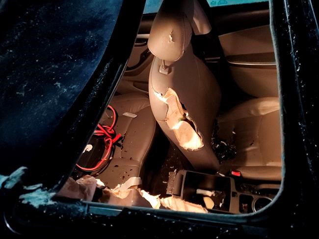 Bear blamed for car damages in Alaska airport parking lot | iNFOnews.ca Bear blamed for car damages in Alaska airport parking lot | iNFOnews.ca