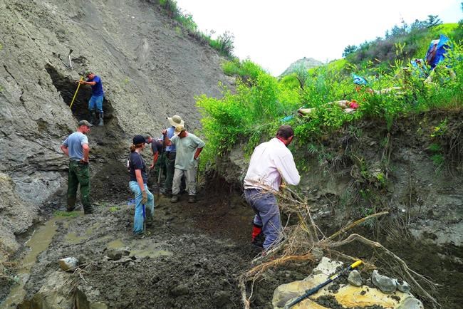 Hunter's find leads to discovery of prehistoric sea creature | iNFOnews.ca