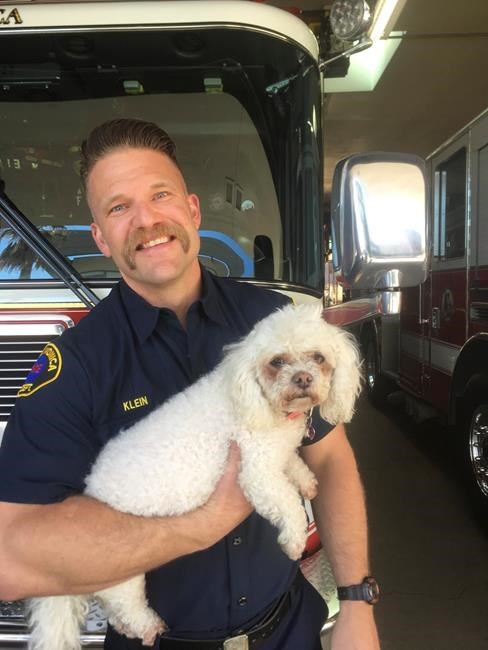 Dog pulled from California fire revived after 20 minutes | iNFOnews.ca