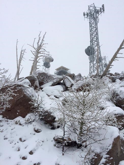 Man seeking free pizza rescued from snowy Arizona mountain | iNFOnews.ca Man seeking free pizza rescued from snowy Arizona mountain | iNFOnews.ca