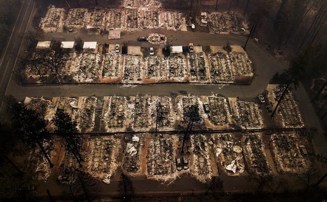 Endangered frogs delay cleanup in city ravaged by wildfires | iNFOnews.ca CP303580958
