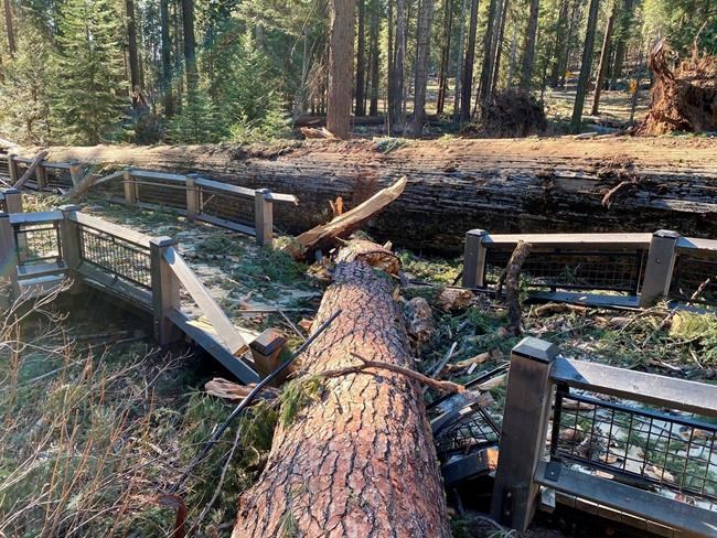 Yosemite National Park to remain closed after wind damage | iNFOnews.ca