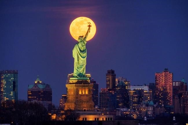 The howling: Americans let it out from depths of pandemic | iNFOnews.ca The howling: Americans let it out from depths of pandemic | iNFOnews.ca