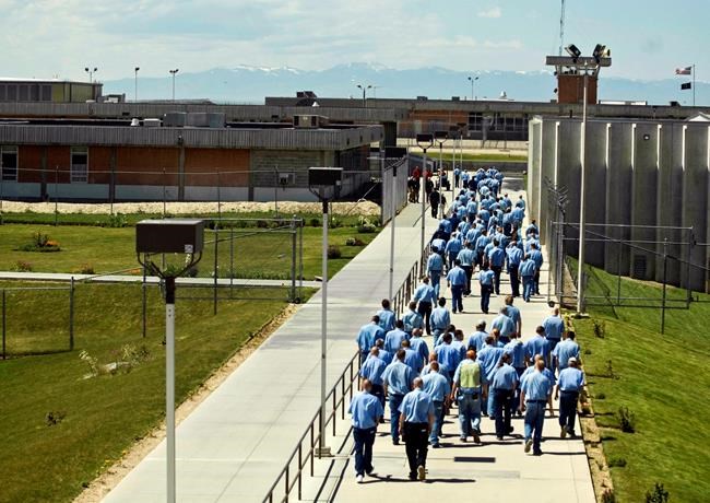 Many rooting for inmates after credit bug exposed on devices | iNFOnews.ca Many rooting for inmates after credit bug exposed on devices | iNFOnews.ca