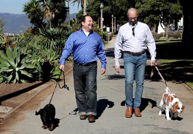 California divorce courts go to dogs as pets gain status | iNFOnews.ca California divorce courts go to dogs as pets gain status | iNFOnews.ca