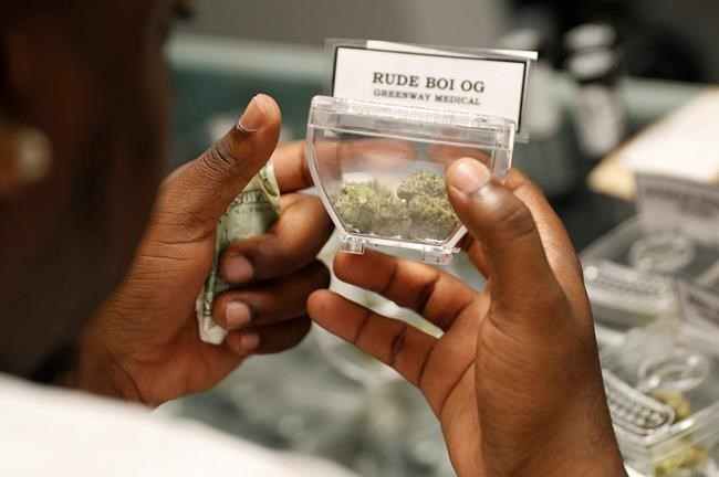 Marijuana businesses urge judge to review Nevada licenses | iNFOnews.ca