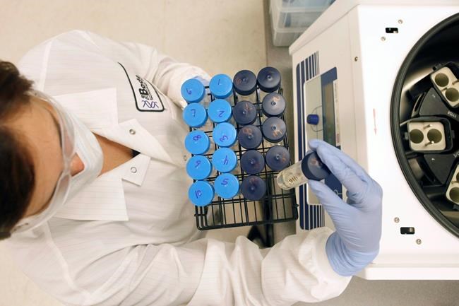US police agencies with their own DNA databases stir debate | iNFOnews.ca