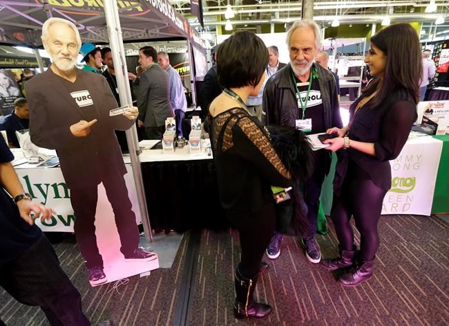 Celebrities launch pot brands as California legalizes drug | iNFOnews.ca