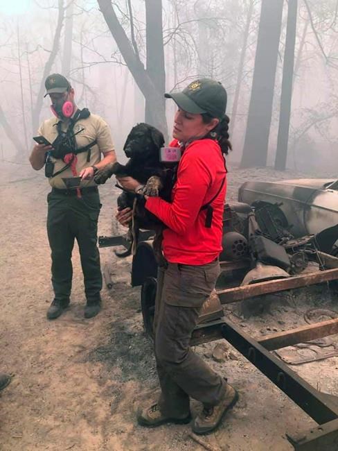 Latest: Three more found dead in Northern California blaze | iNFOnews.ca