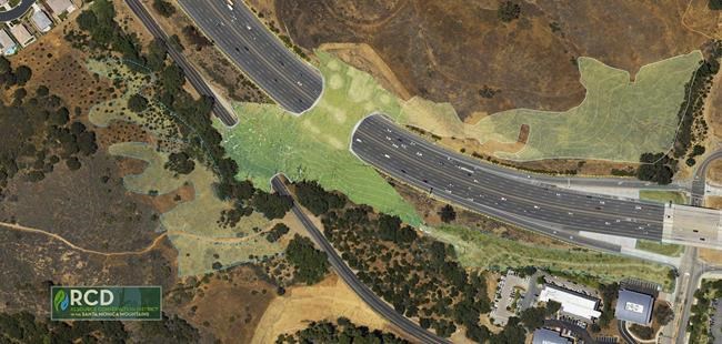 California freeway crossing to give wildlife room to roam | iNFOnews.ca California freeway crossing to give wildlife room to roam | iNFOnews.ca