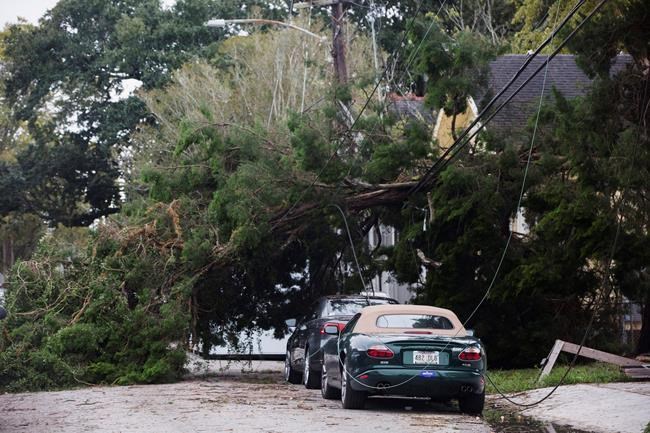 Remnants of Olga push into Mississippi, leaving damage | iNFOnews.ca Remnants of Olga push into Mississippi, leaving damage | iNFOnews.ca
