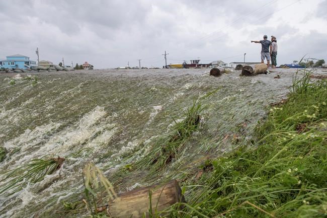 'Dead zone' reduced by Hurricane Barry but still 8th largest | iNFOnews.ca