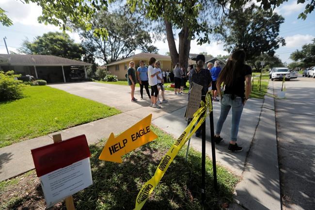 Bald eaglet back in air after 2 weeks in wildlife hospital | iNFOnews.ca