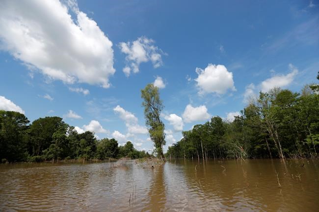 Federal judge skeptical about pipeline's impact on wetlands | iNFOnews.ca Federal judge skeptical about pipeline's impact on wetlands | iNFOnews.ca