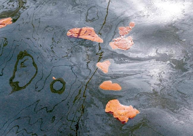 Lawsuit: EPA has dragged feet on oil spill dispersant rules | iNFOnews.ca