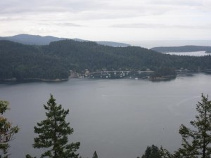 CP1953651628