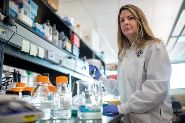 Rapid response COVID-19 science conducted by father and daughter virologists | iNFOnews.ca
