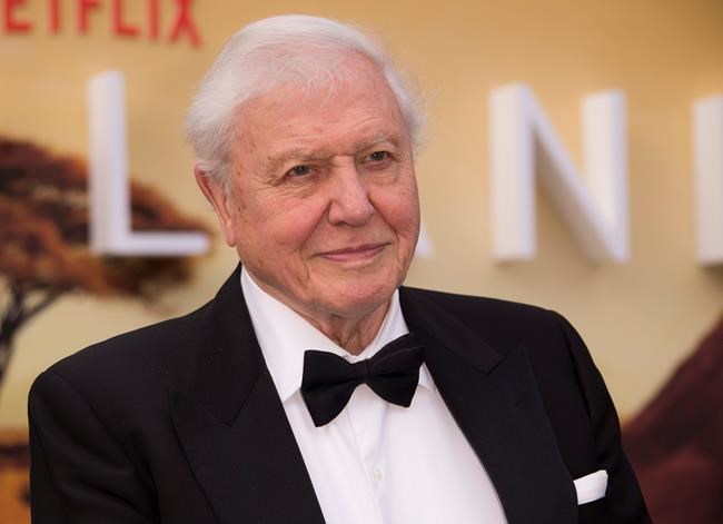 From his home, Attenborough shows viewers 'A Perfect Planet' | iNFOnews.ca