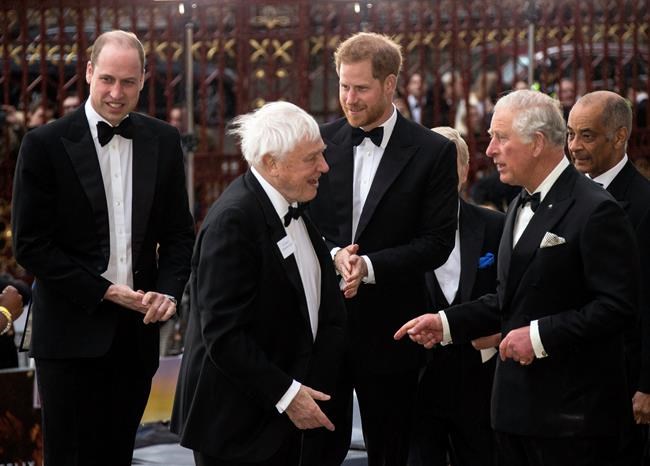 Charles, William, Harry: 3 princes help launch 'Our Planet' | iNFOnews.ca Charles, William, Harry: 3 princes help launch 'Our Planet' | iNFOnews.ca