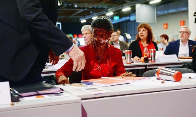 German opposition leader attacked with cake over migrants | iNFOnews.ca