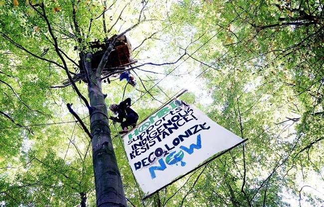 German court: Ancient forest can be cleared for coal mine | iNFOnews.ca