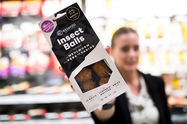 Yuck or yum? Swiss offer insect burgers of mealworm larvae | iNFOnews.ca