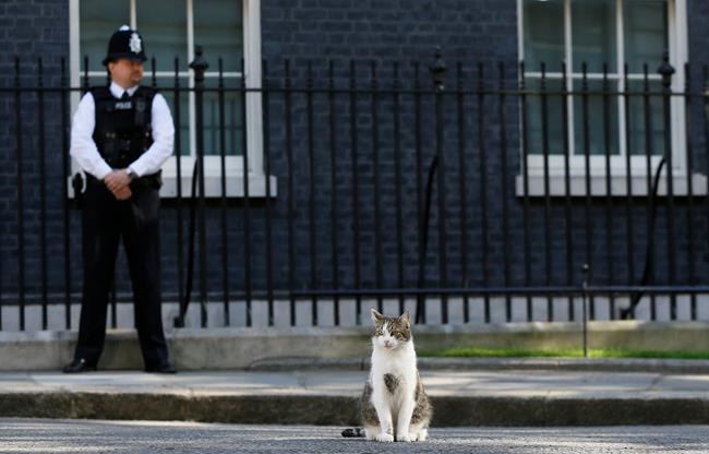 After a week in office, UK's May moves in to Downing Street | iNFOnews.ca After a week in office, UK's May moves in to Downing Street | iNFOnews.ca