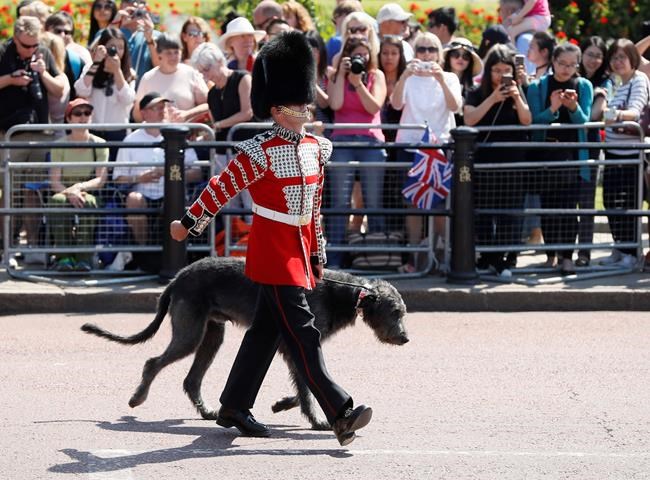 'Trooping the colour' in London for queen's official birthday | iNFOnews.ca