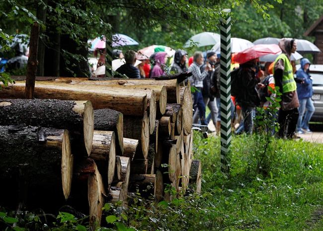 Polish court acquits protesters of logging in old forest | iNFOnews.ca Polish court acquits protesters of logging in old forest | iNFOnews.ca