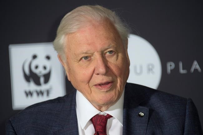 David Attenborough to address leaders at UN climate summit | iNFOnews.ca