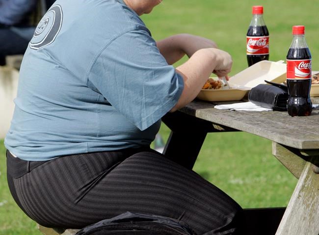WHO: Saturated fat should be less than 10 per cent of diet | iNFOnews.ca CP870292710