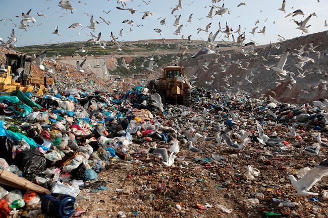 UK mulls plan to ban plastic straws and cut waste | iNFOnews.ca
