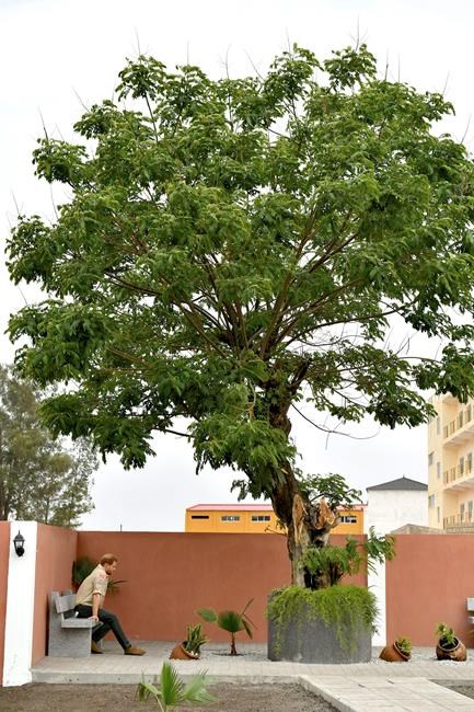 Prince Harry walks through Angola mine field, echoing Diana | iNFOnews.ca