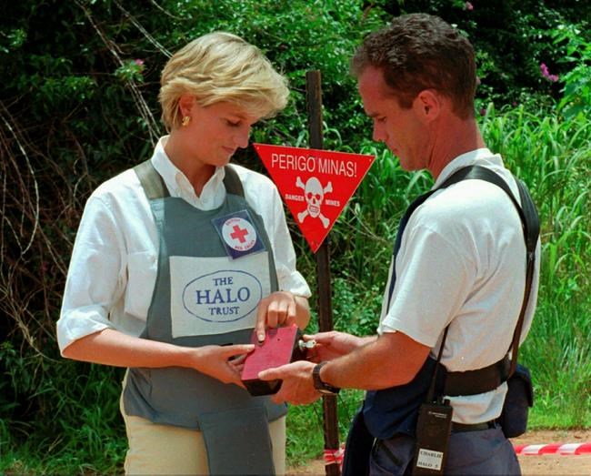 Prince Harry champions mother's cause: clearing land mines | iNFOnews.ca