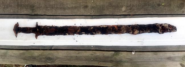 Swedish girl Saga pulls out pre-Viking era sword from lake | iNFOnews.ca CP818936167