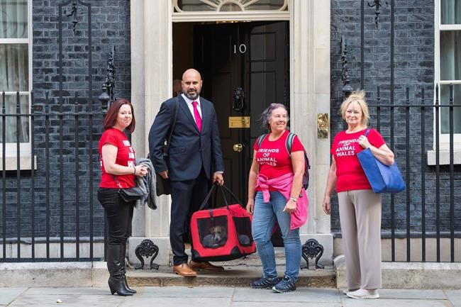 Downing Street dog moves in with UK prime minister | iNFOnews.ca