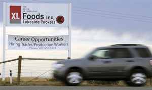 CP20567227