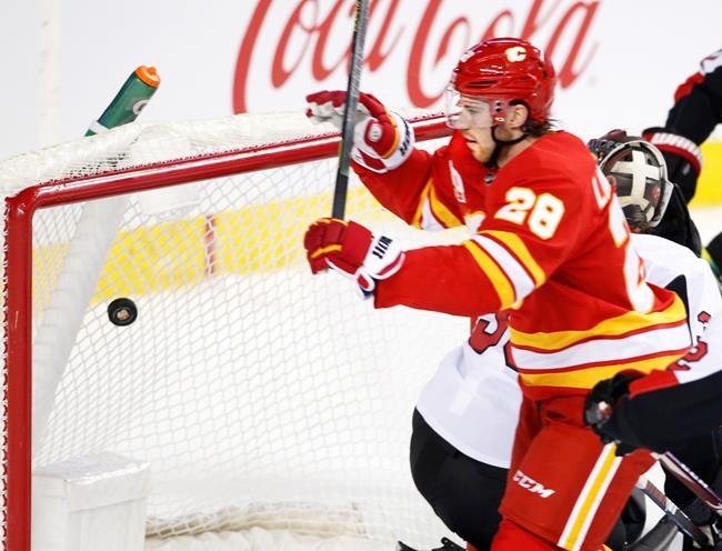Elias Lindholm's two third-period goals help Flames secure 3-1 victory over Senators | iNFOnews.ca