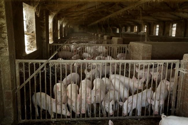 UK volunteers still honour US airmen, 75 years after D-Day | iNFOnews.ca