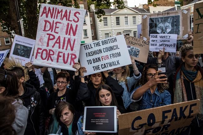 Burberry to drop real fur, stop destroying unsold goods | iNFOnews.ca Burberry to drop real fur, stop destroying unsold goods | iNFOnews.ca