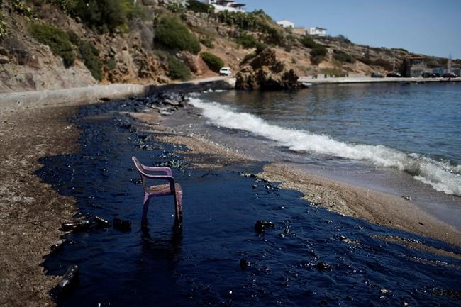 World Wildlife Fund sues over Greece oil spill from tanker | iNFOnews.ca World Wildlife Fund sues over Greece oil spill from tanker | iNFOnews.ca
