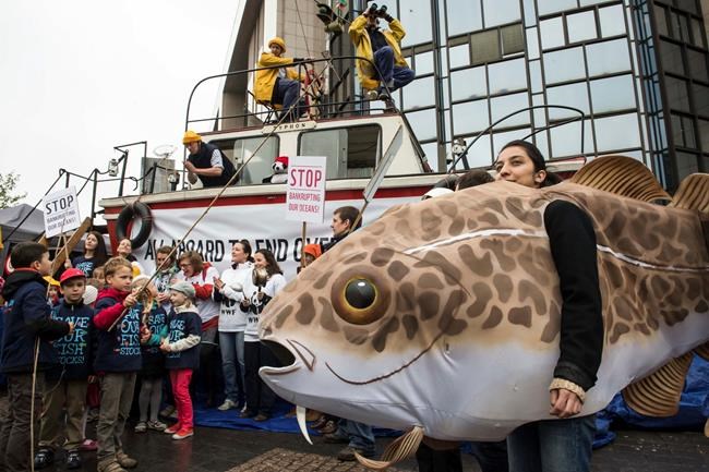EU agrees to catch more fish sustainably in 2018 | iNFOnews.ca
