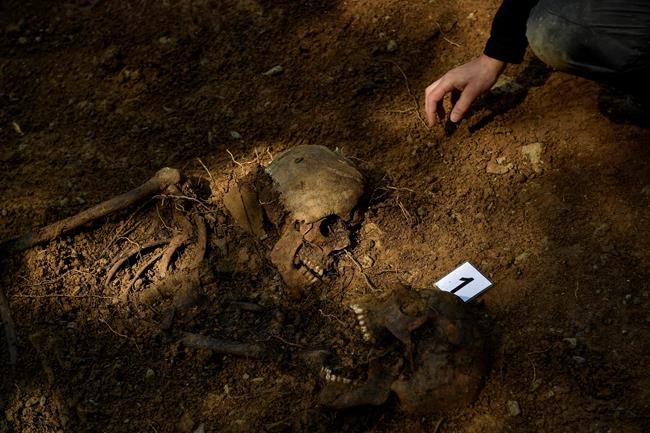 Spain launches bid to identify victims of civil war, Franco | iNFOnews.ca
